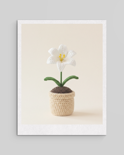 Crochet Flower Plants Pots