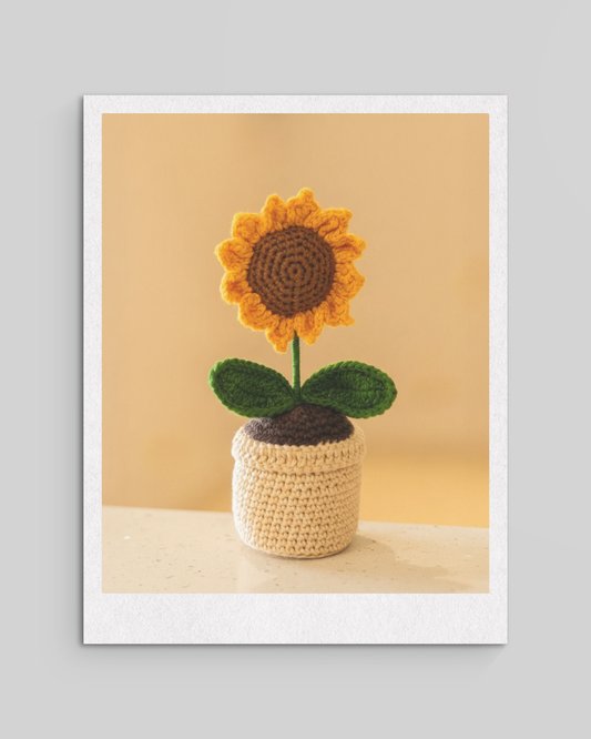 Crochet Flower Plants Pots