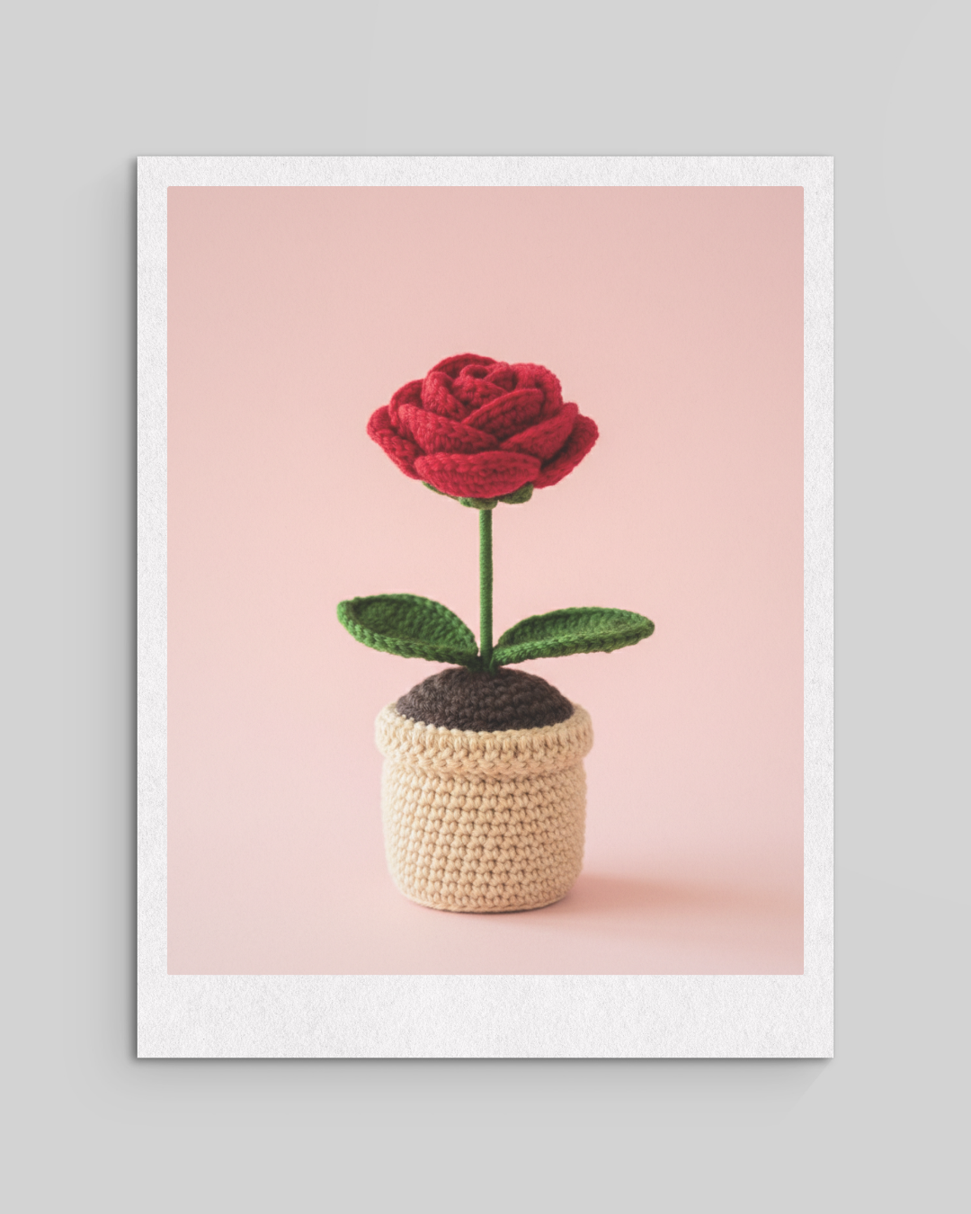 Crochet Flower Plants Pots