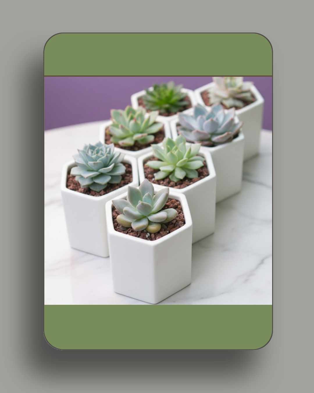 Succulent Pots, Geometric Planters, Hexagon Pots, White Ceramic Planter, Cactus Container, Minimalist Home Decor, Honeycomb Design, Indoor Garden, Office Desk Accessories, Small Flower Pot, Modern Plant Holder, Bonsai Pot, Window Sill Decor