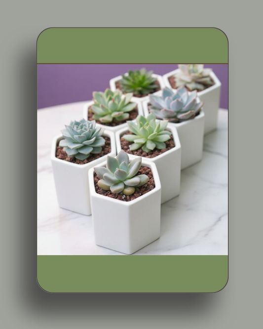 Succulent Pots, Geometric Planters, Hexagon Pots, White Ceramic Planter, Cactus Container, Minimalist Home Decor, Honeycomb Design, Indoor Garden, Office Desk Accessories, Small Flower Pot, Modern Plant Holder, Bonsai Pot, Window Sill Decor